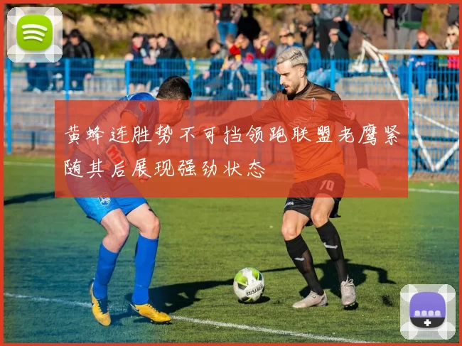 黄蜂连胜势不可挡领跑联盟老鹰紧随其后展现强劲状态